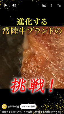 進化する常陸牛ブランドの挑戦！