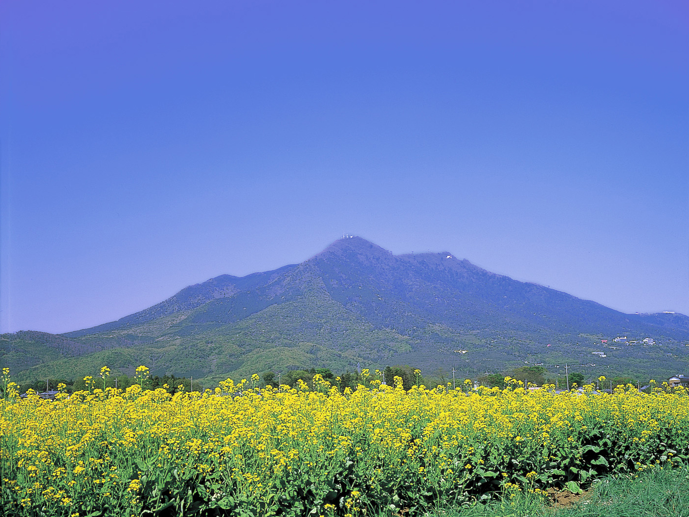 筑波山画像