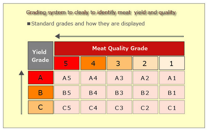 Meat Grading system in Japan