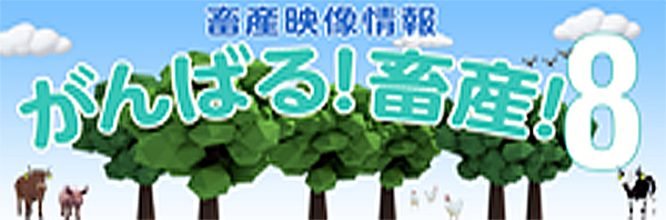 がんばる！畜産！8