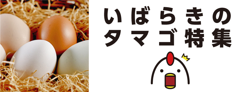 いばらきのタマゴ特集　いばタマ