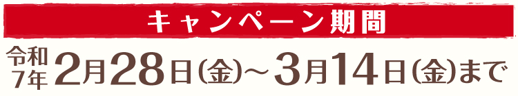 キャンペーン１５日まで