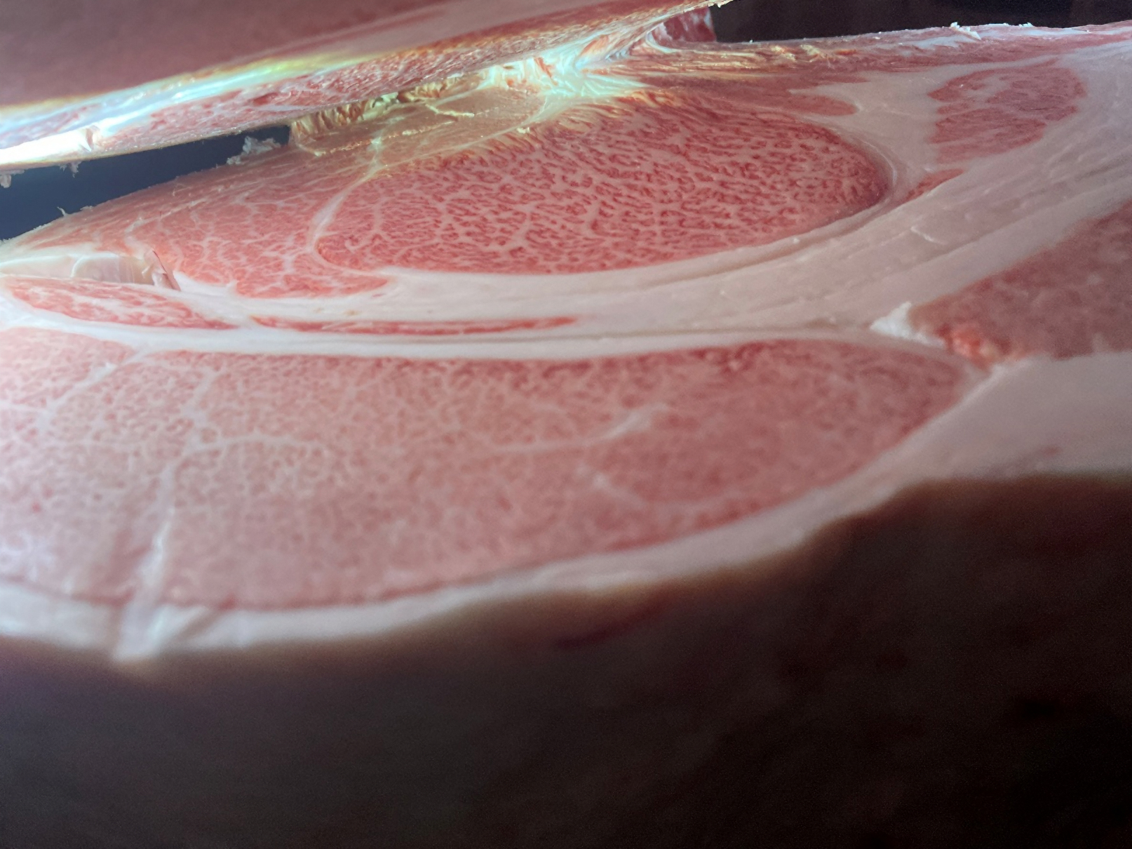 名誉賞「（有）中島牧場」の枝肉断面写真