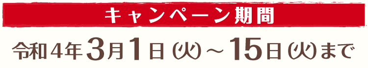 キャンペーン１５日まで