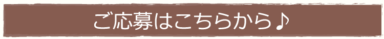 応募はこちらから